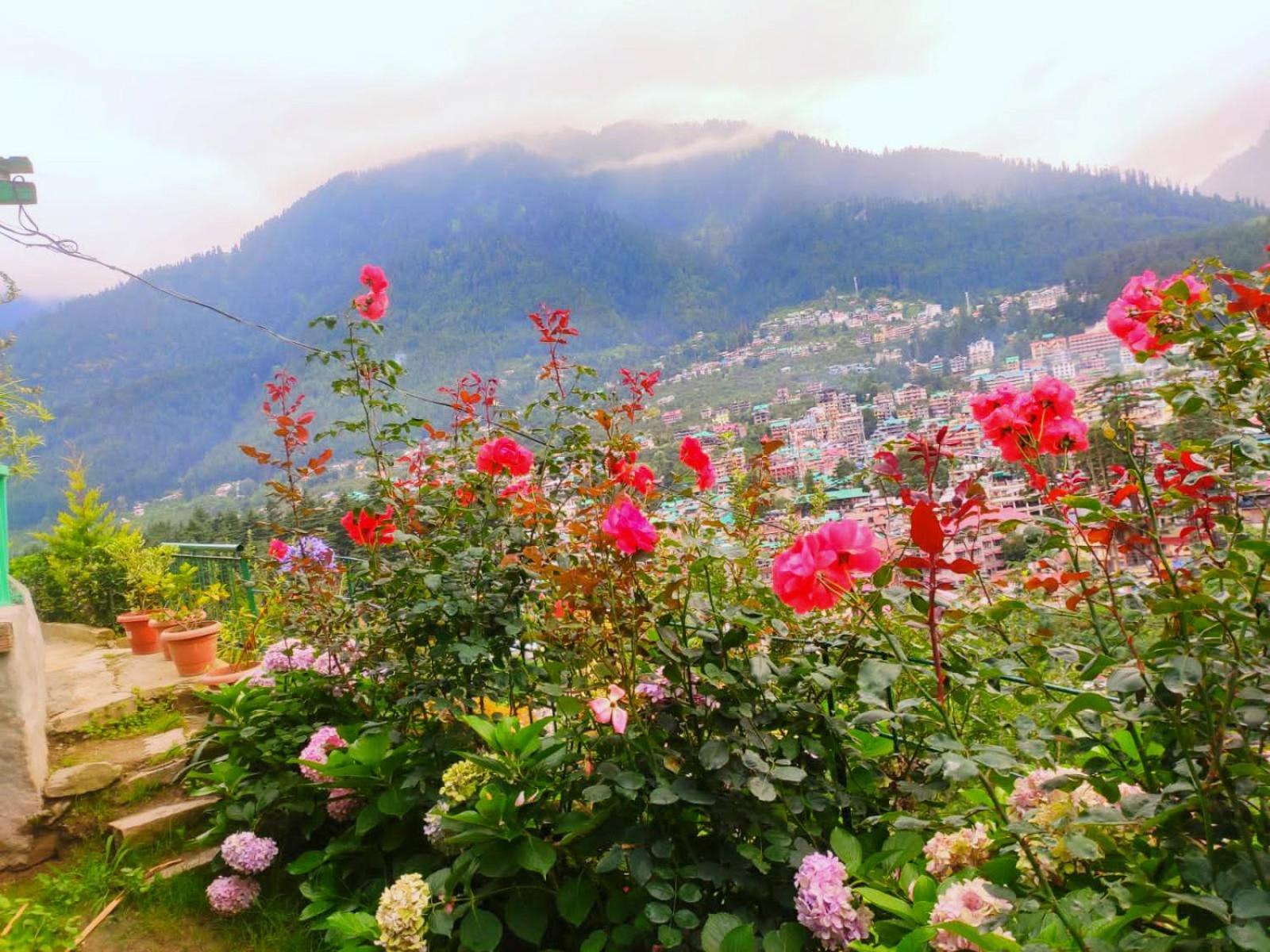 Cupidtrails Himalayan Castle Villa Manāli Kamer foto